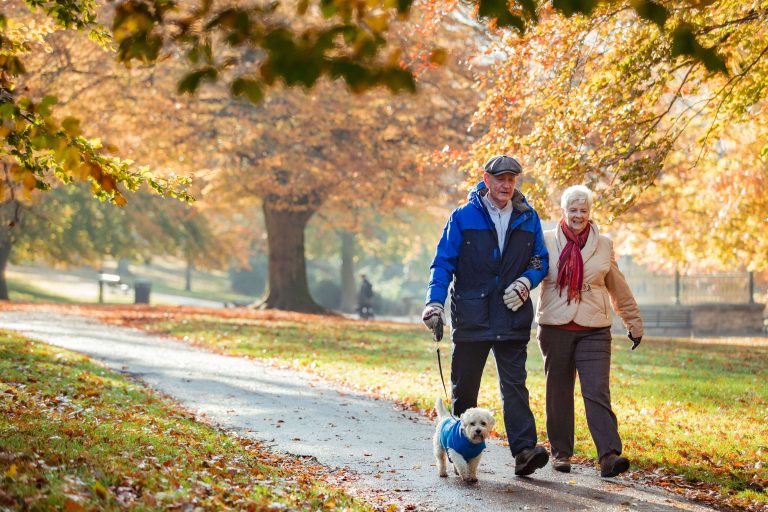 A couple walking thier dog in the park during the fall