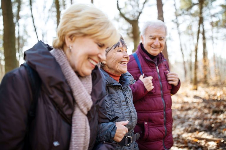 A group of friends enjoy a walk in the woods